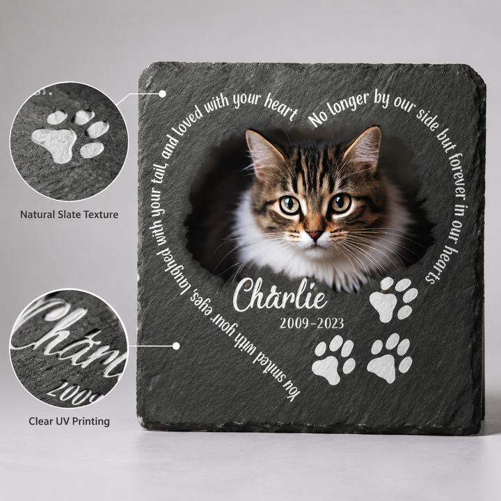 Pet Stone Monument