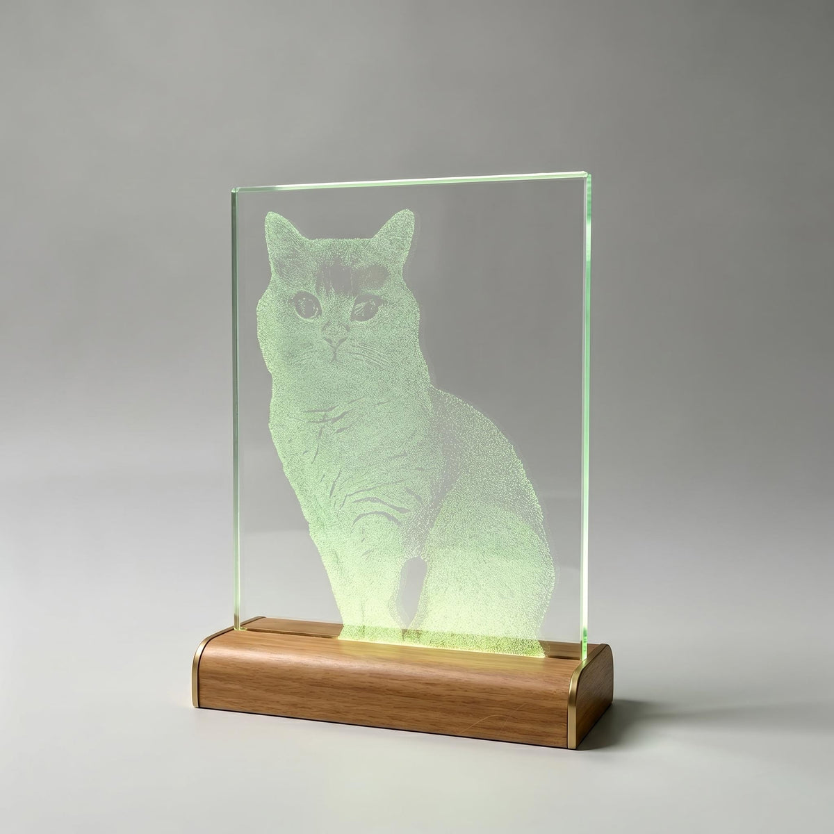 Intangible Heritage Hammered Glass Pet Painting