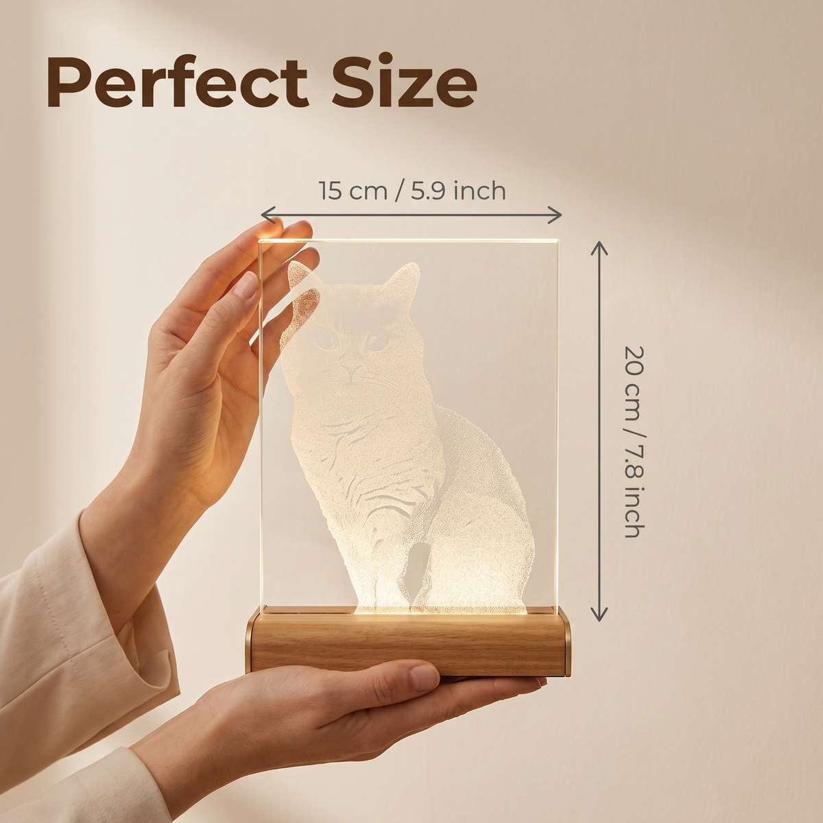 Intangible Heritage Hammered Glass Pet Painting