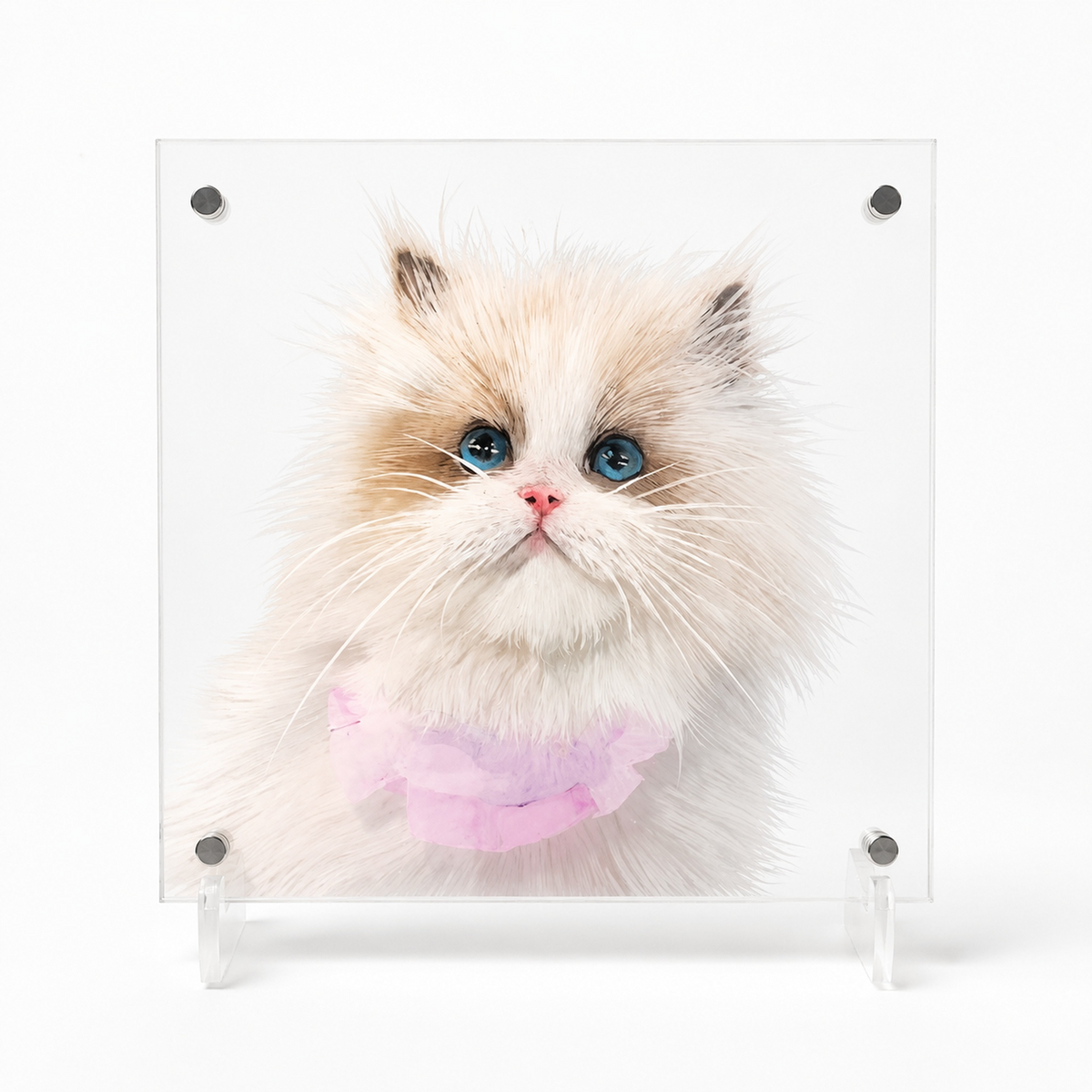 3D Acrylic Layered Pet Portrait