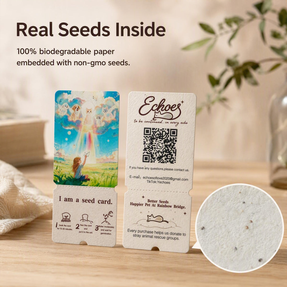 Pet Memorial Plantable Seed Card | Rainbow Bridge Keepsake
