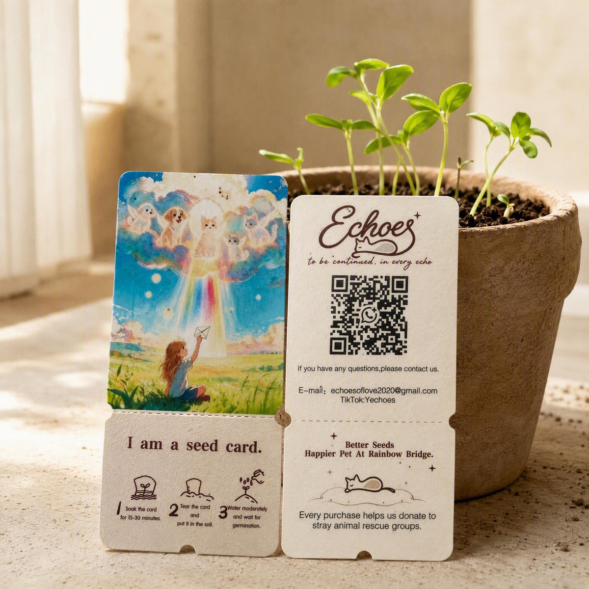 Pet Memorial Plantable Seed Card | Rainbow Bridge Keepsake