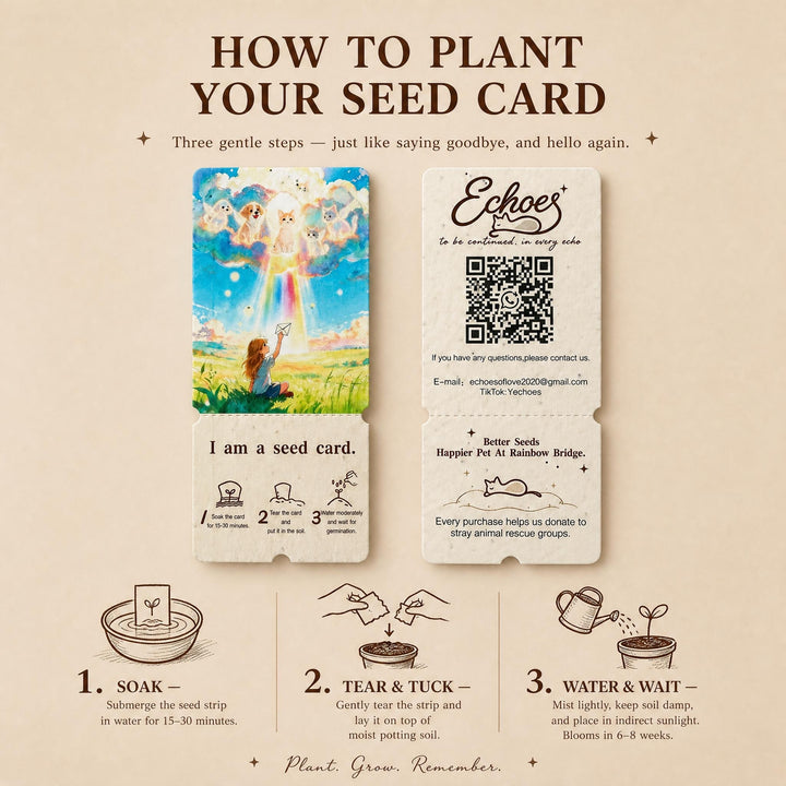 Pet Memorial Plantable Seed Card | Rainbow Bridge Keepsake